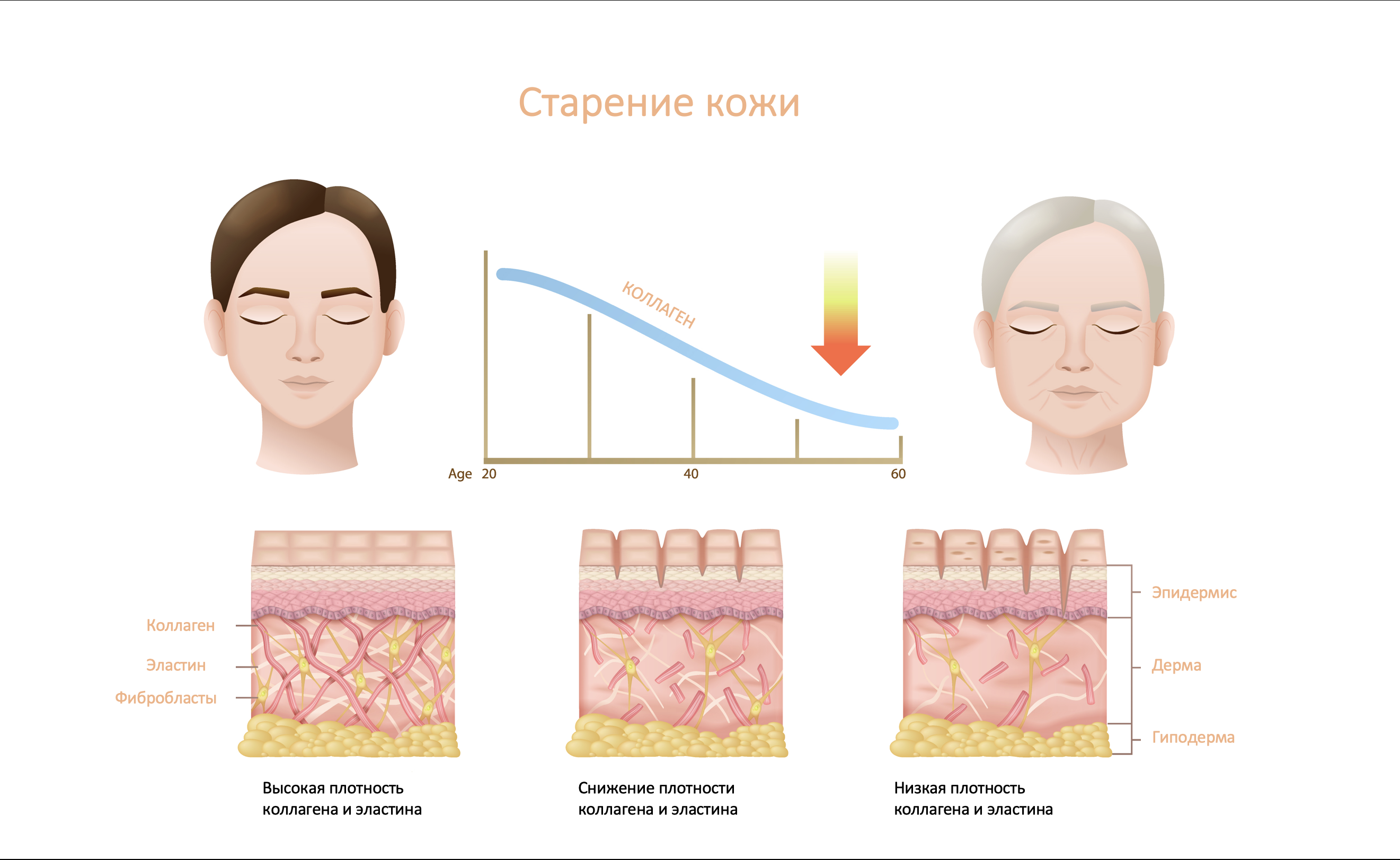 Секреты успешного ухода за чувствительной кожей - основные принципы и  рекомендации!