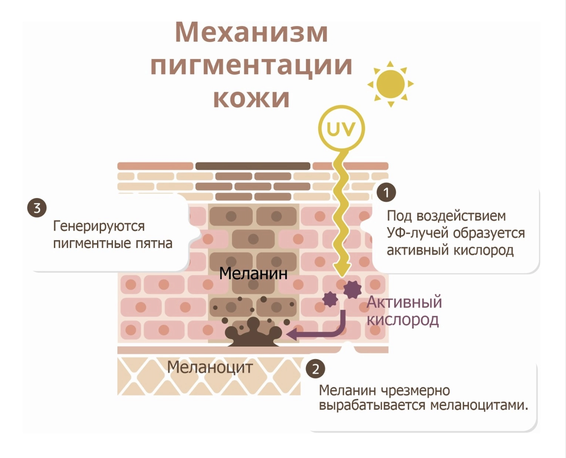 Возрастные пигментные пятна - почему появляются и как от них избавиться  рассказываем в статье!